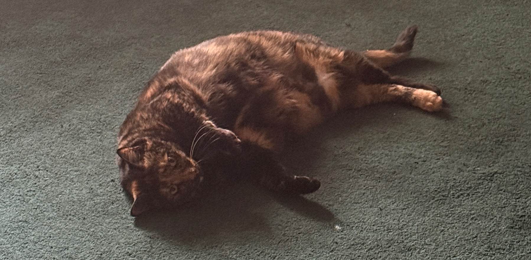 challenge background