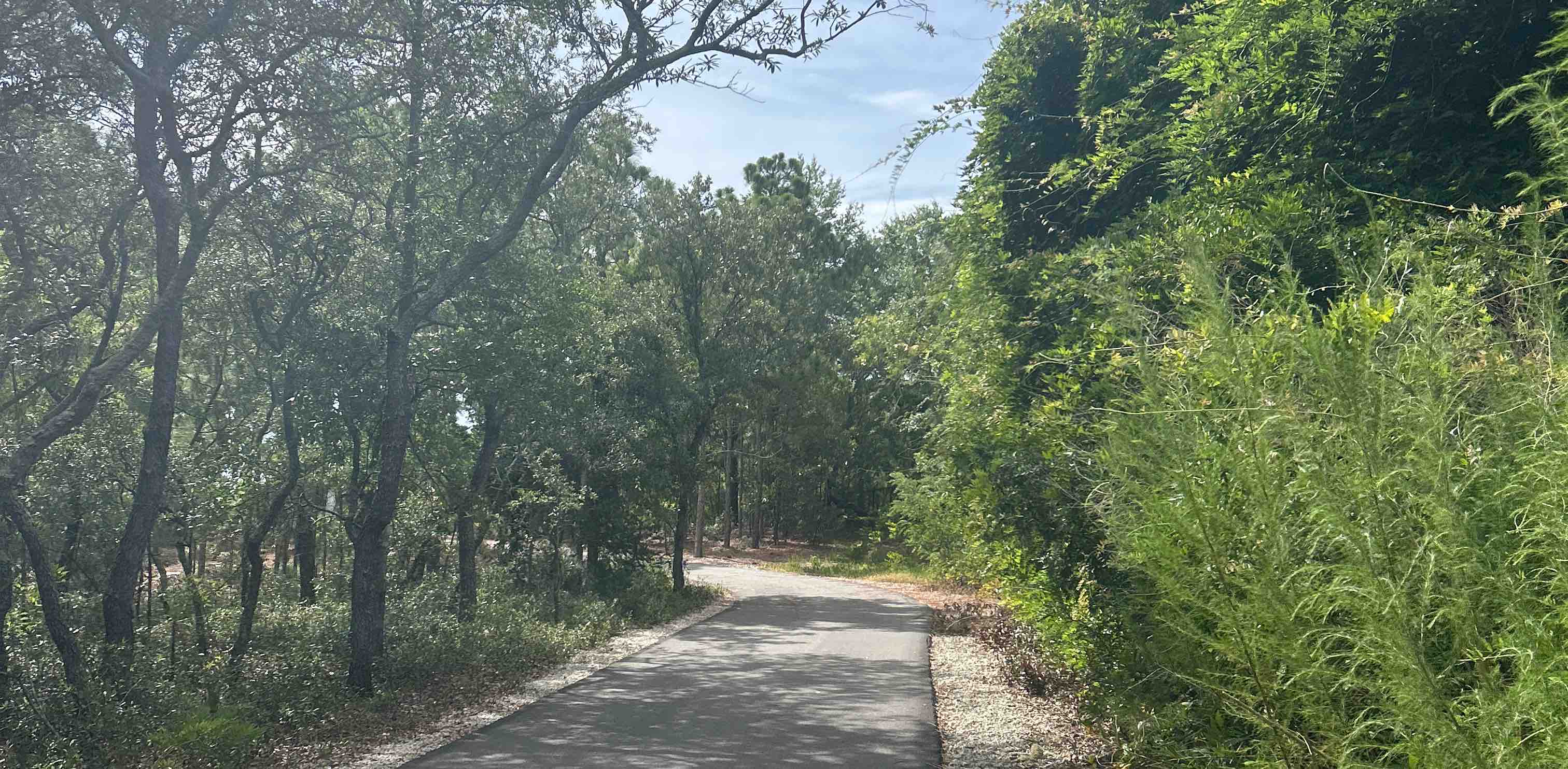 challenge background