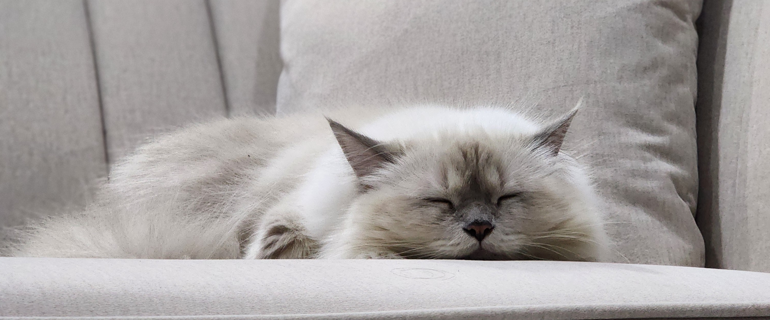 challenge background