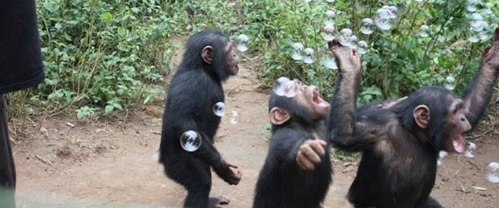 challenge background