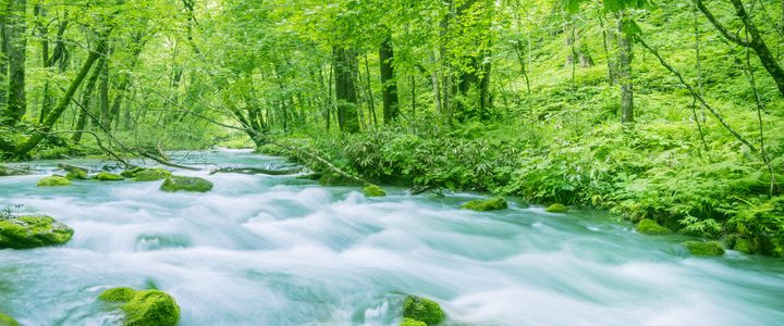 challenge background