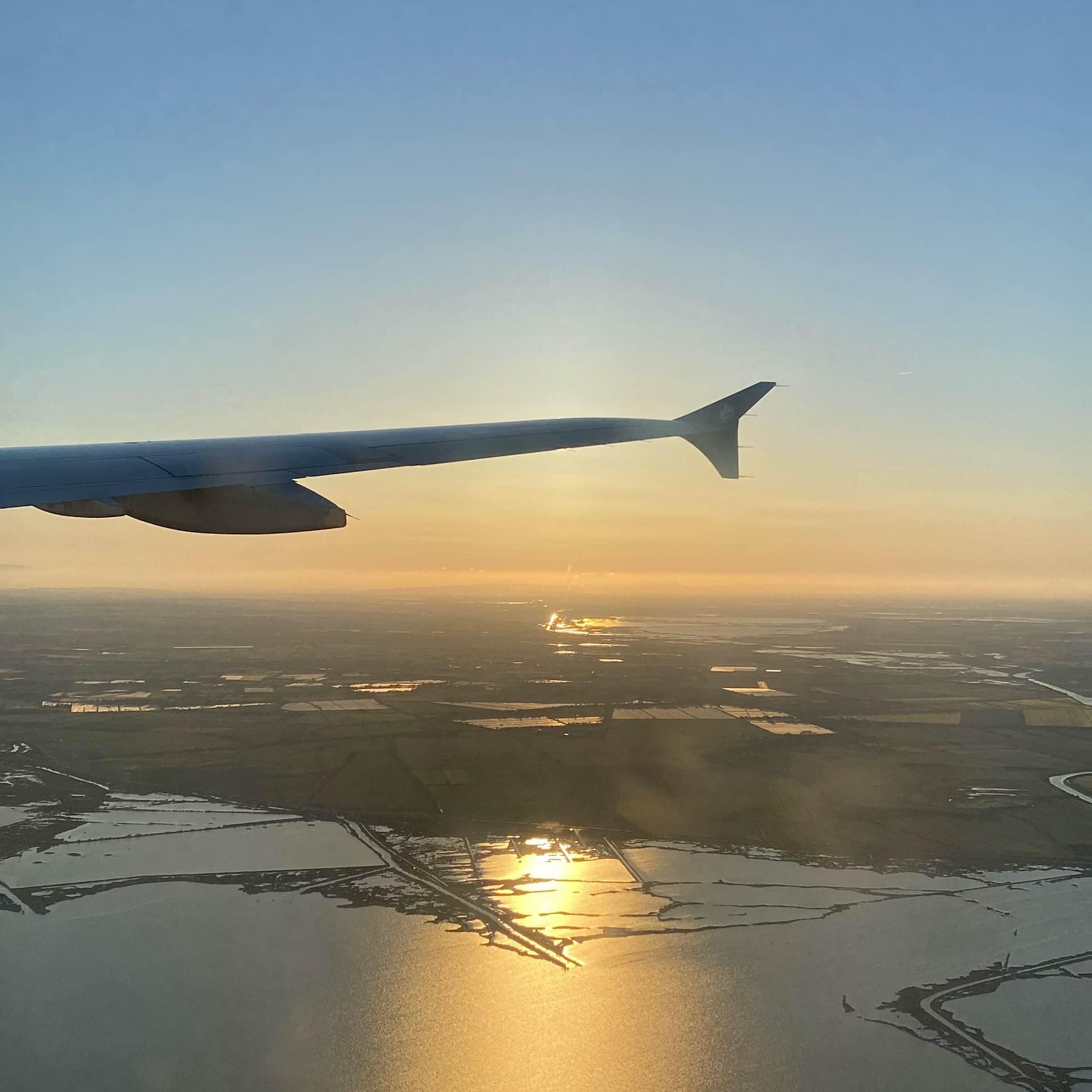 Montpelhièr Salvatge logo