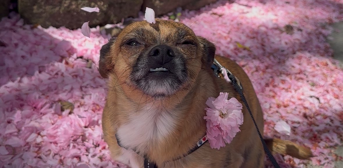 challenge background