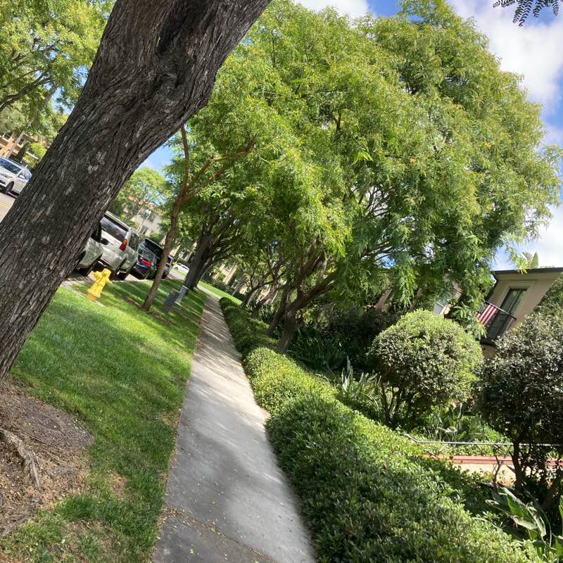 Поддержка и просто веселье logo