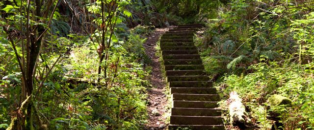 challenge background