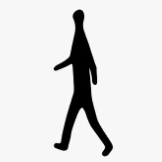 Walk with Thumb Braille logo