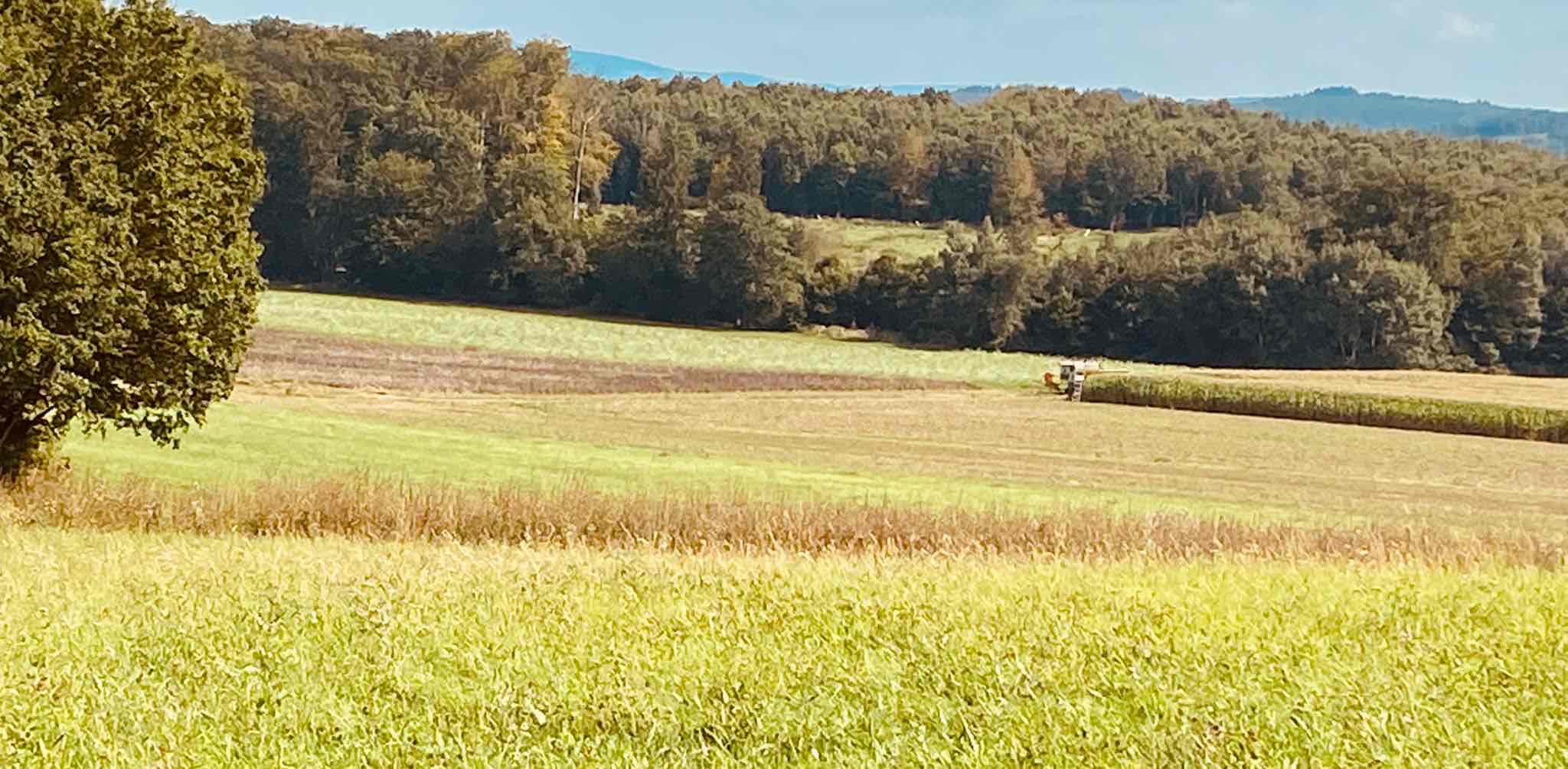 challenge background