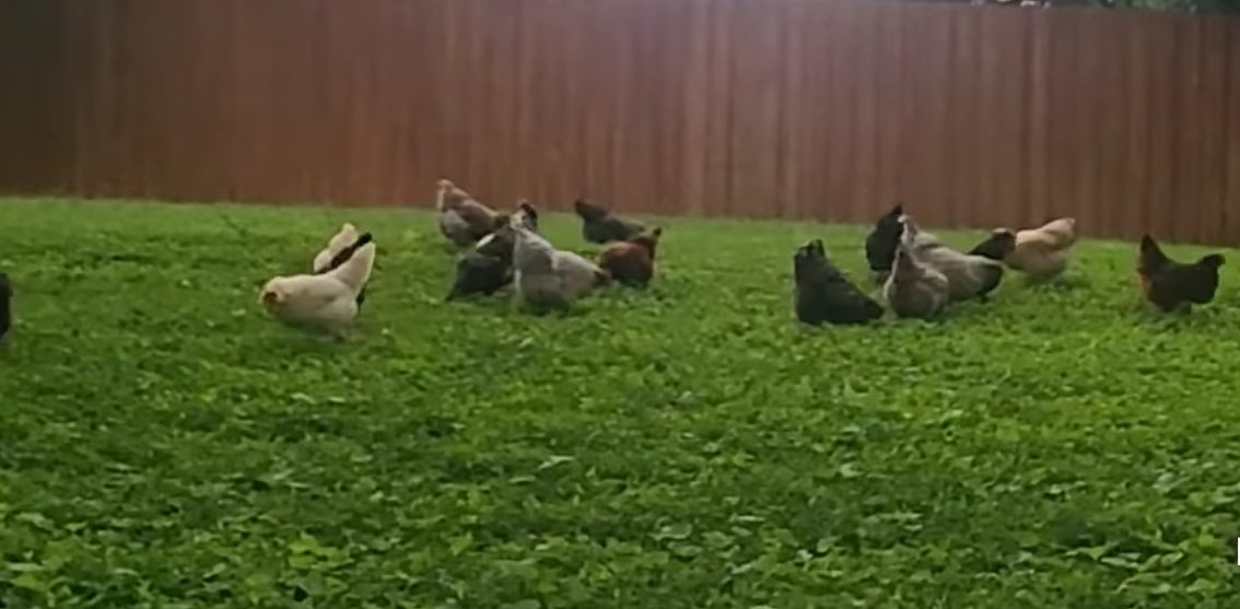 challenge background