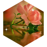 Daily Step Goal - 3000 steps icon