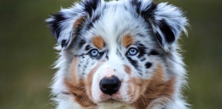 challenge background