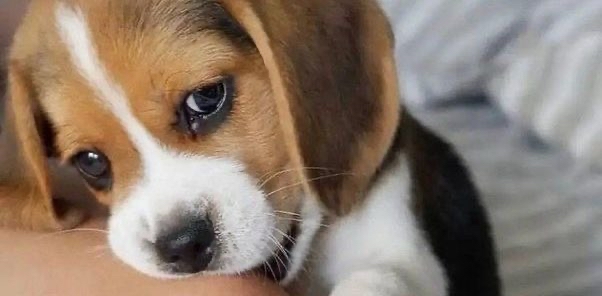 challenge background