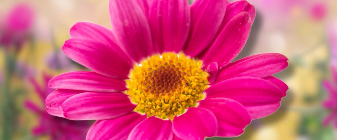 challenge background