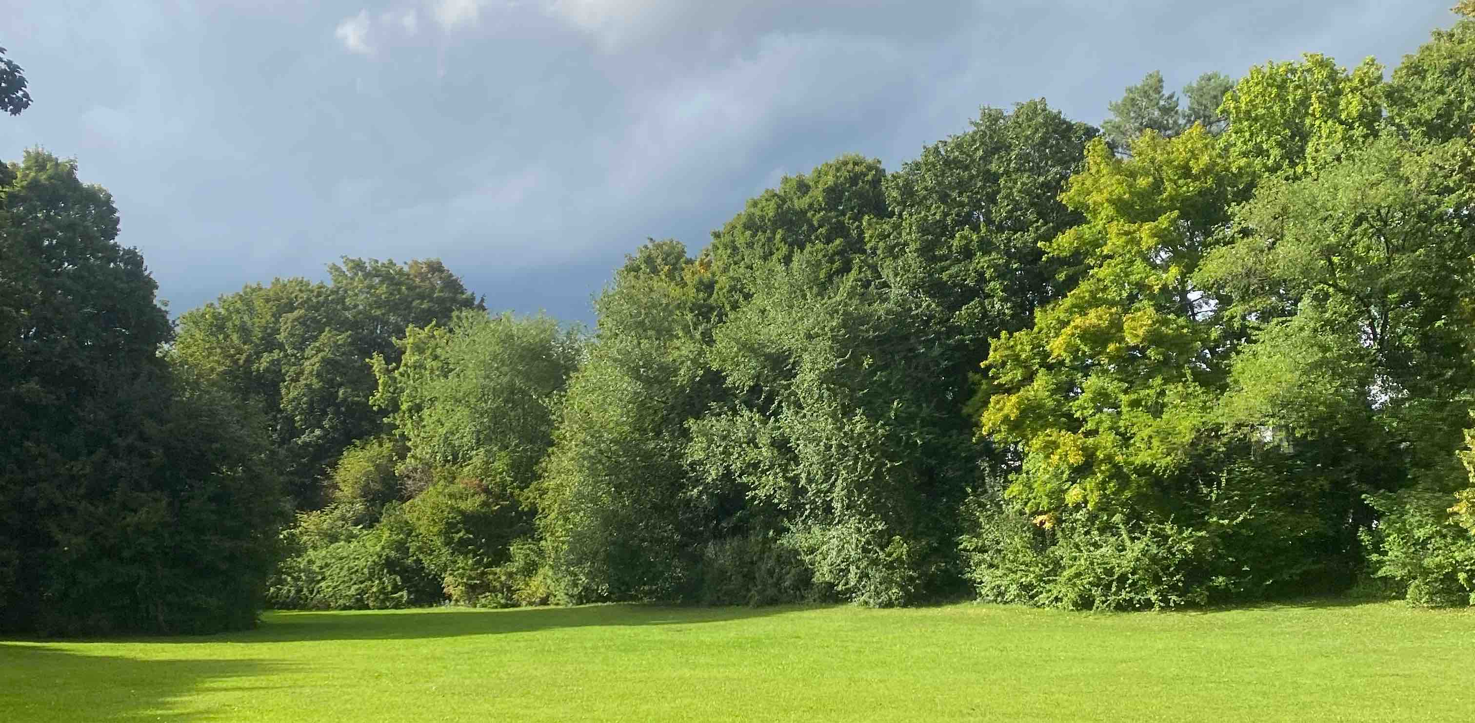 challenge background