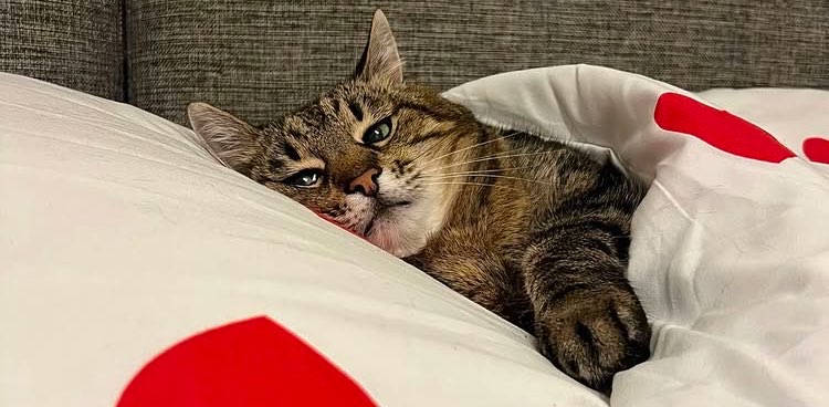 challenge background