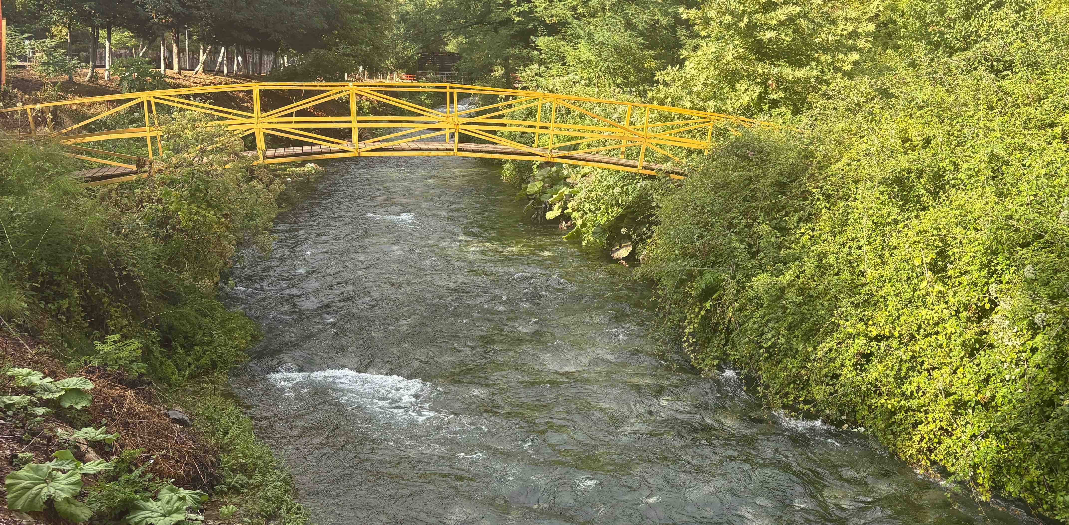 challenge background