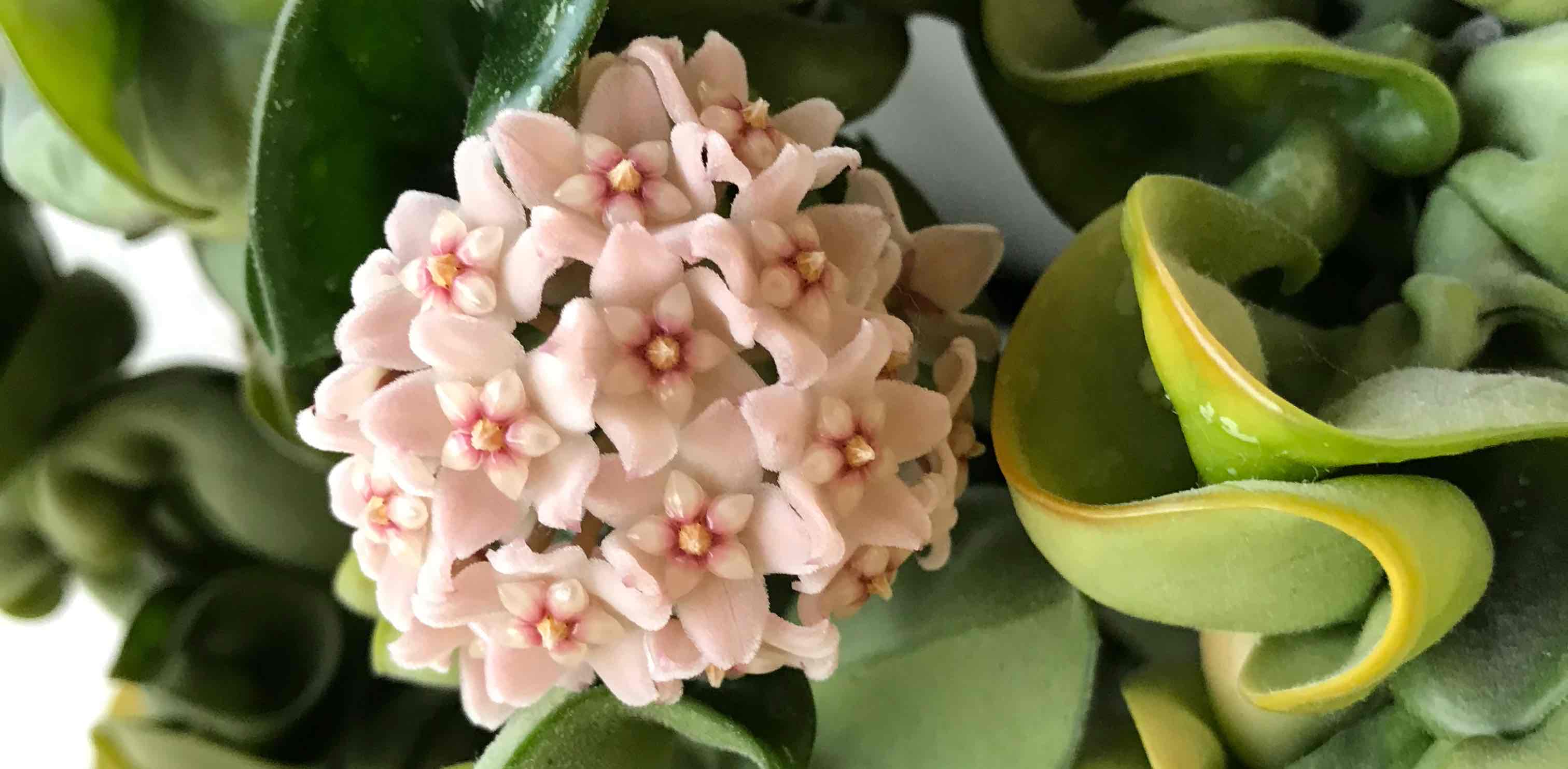 challenge background