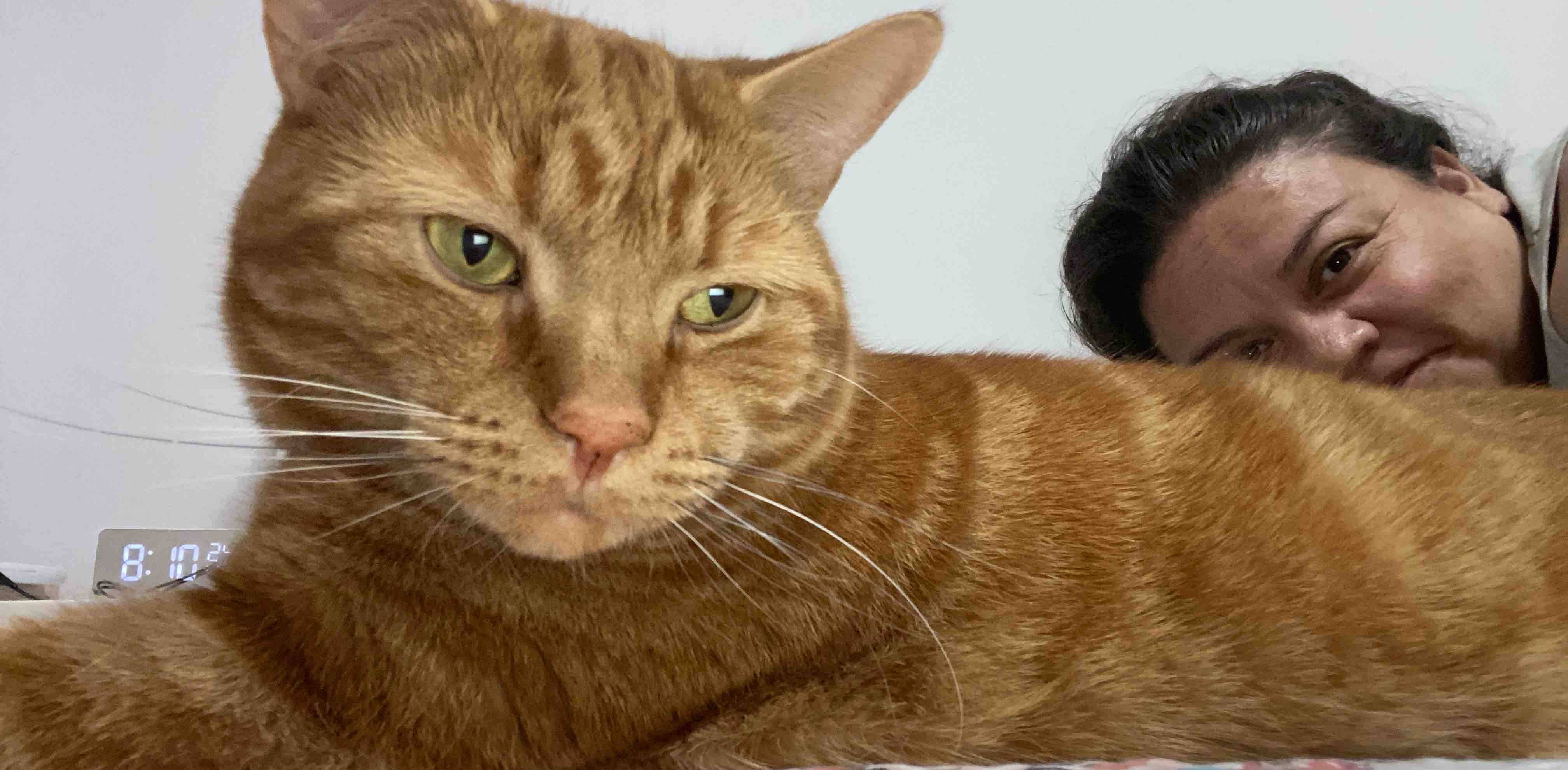 challenge background