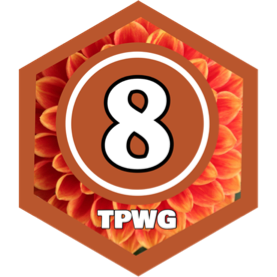 August 2025 10000 Steps - PRO CLUB icon