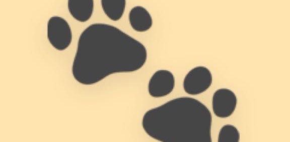 challenge background