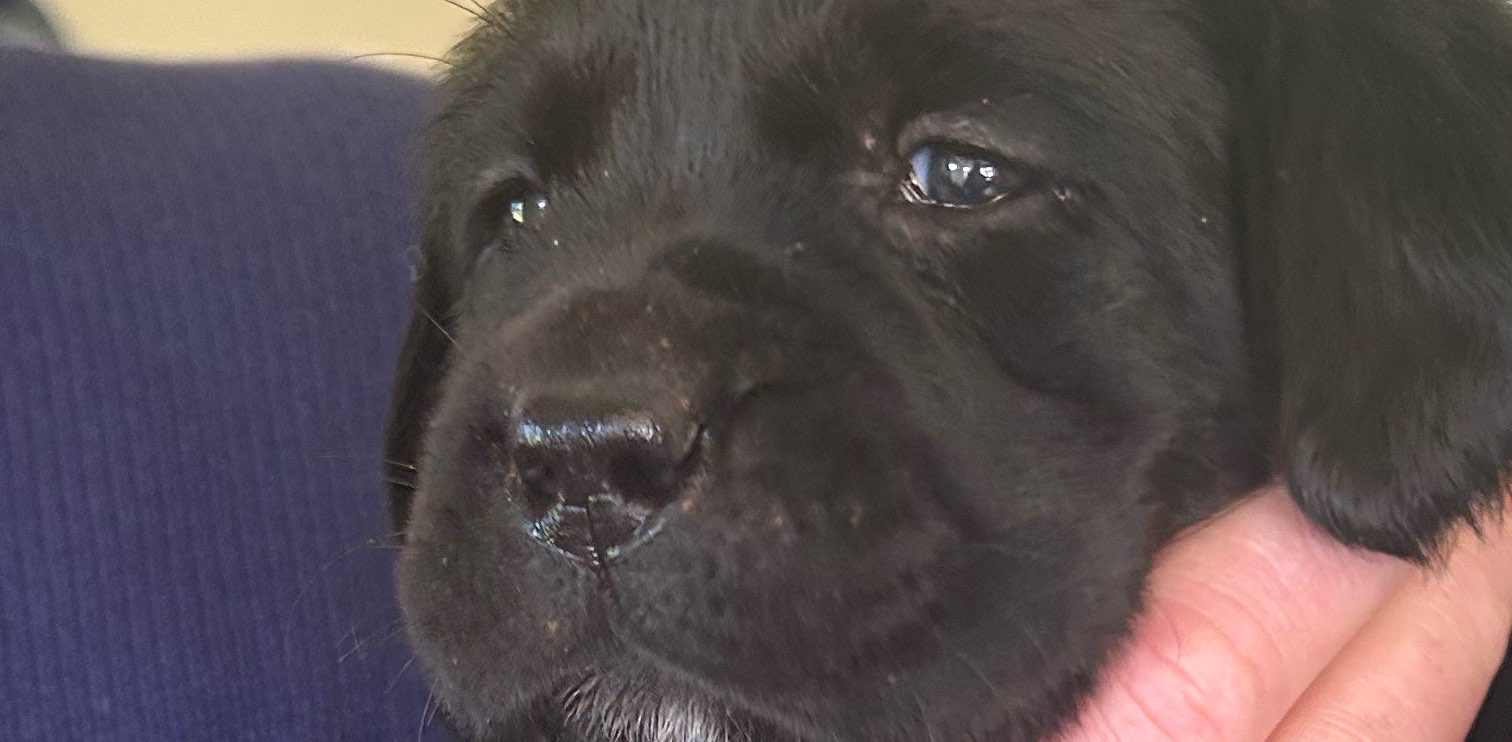 challenge background