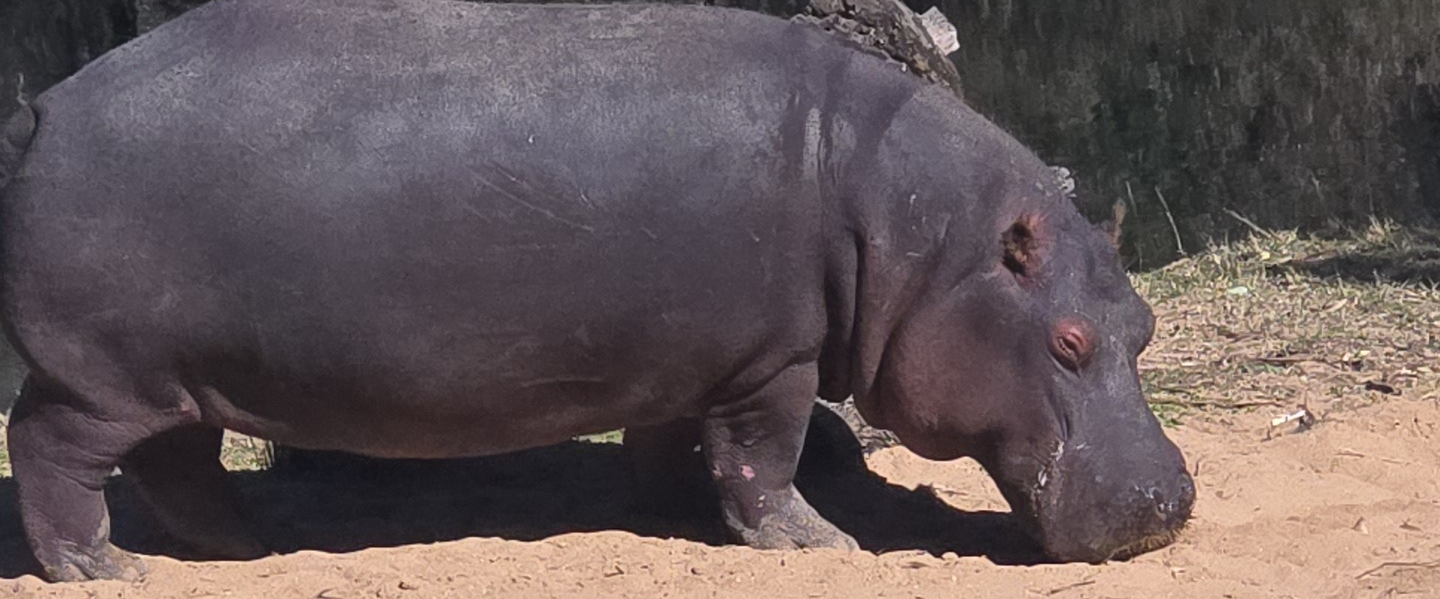 challenge background