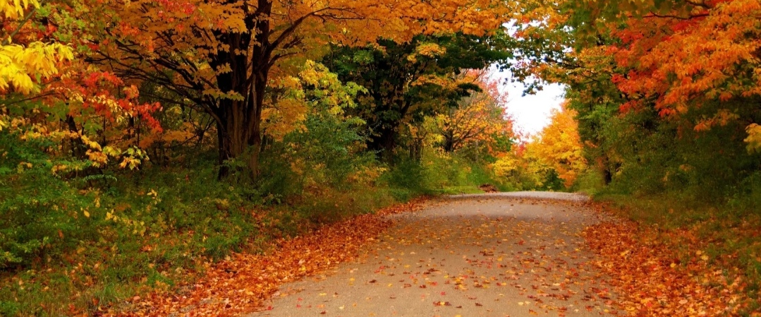 challenge background