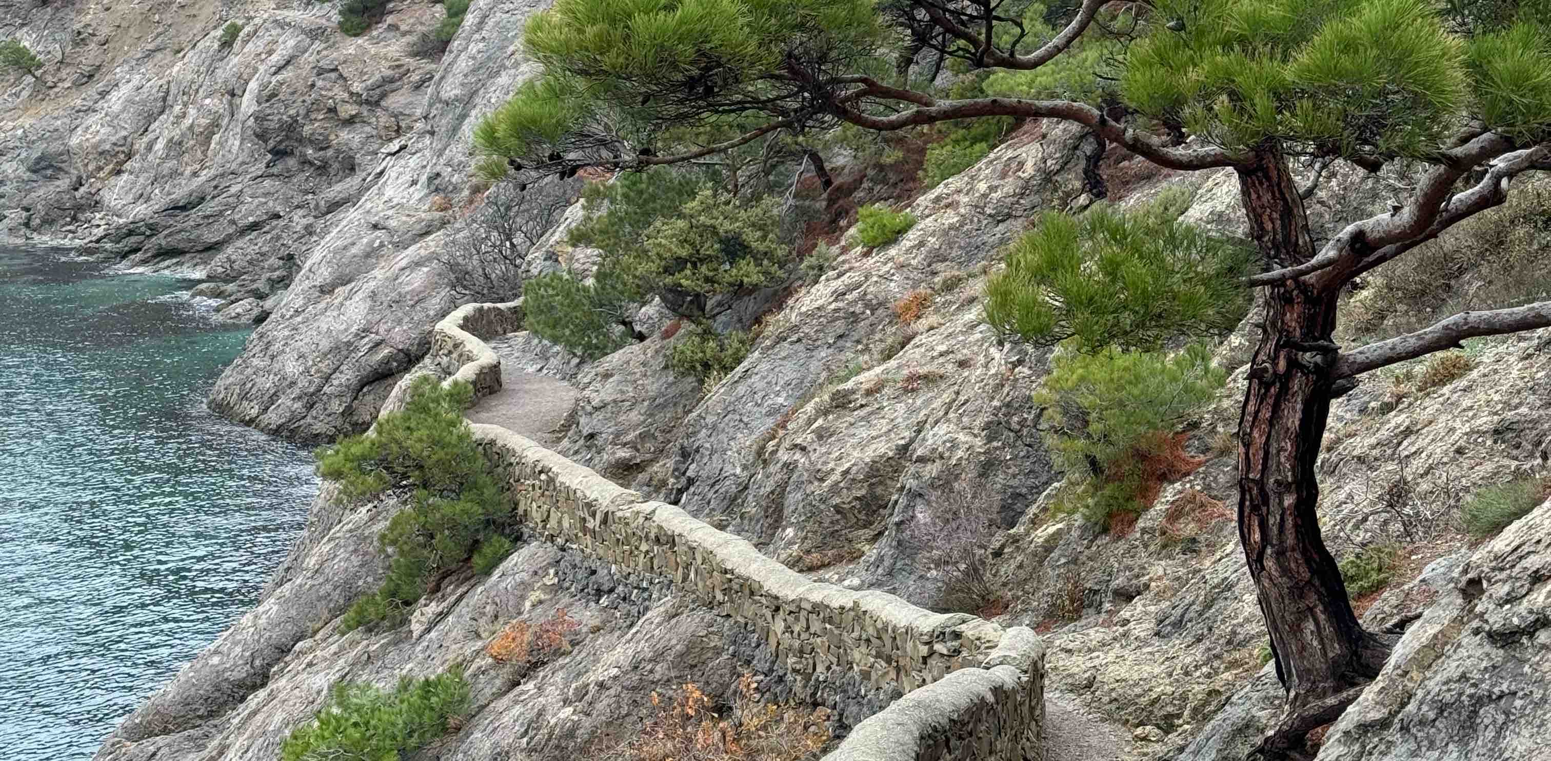 challenge background