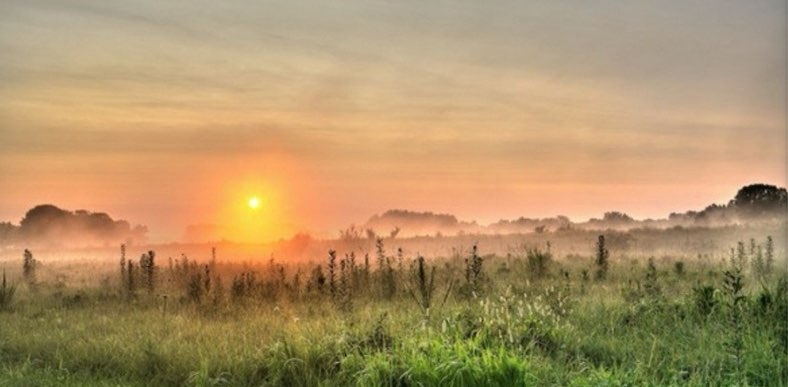 challenge background