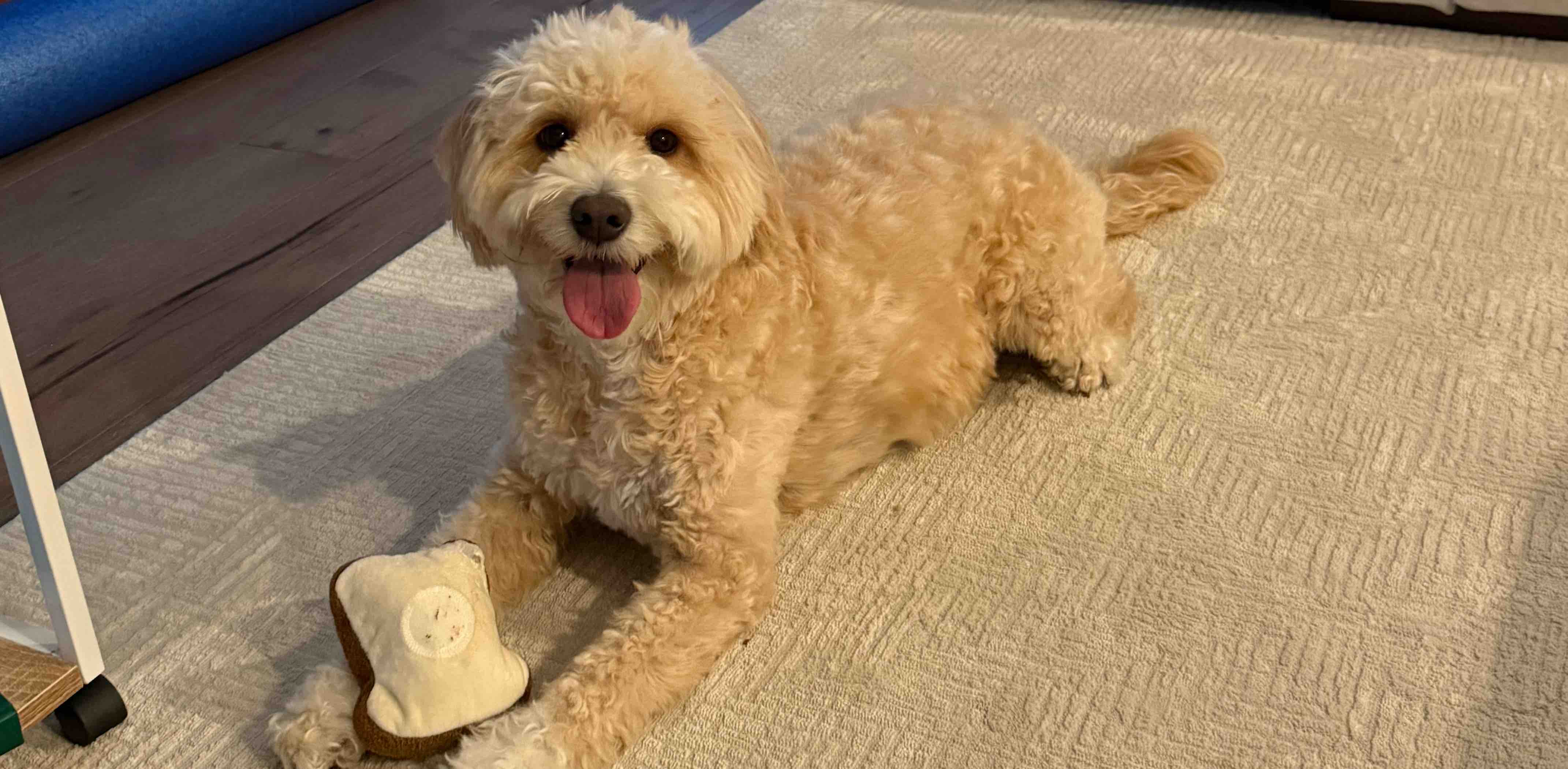 challenge background