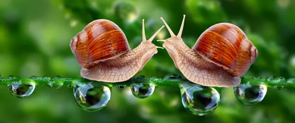 challenge background