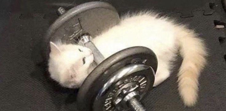 challenge background