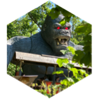 🦁 DÉFIS GROUPE 🐯 10 000 🦍 icon