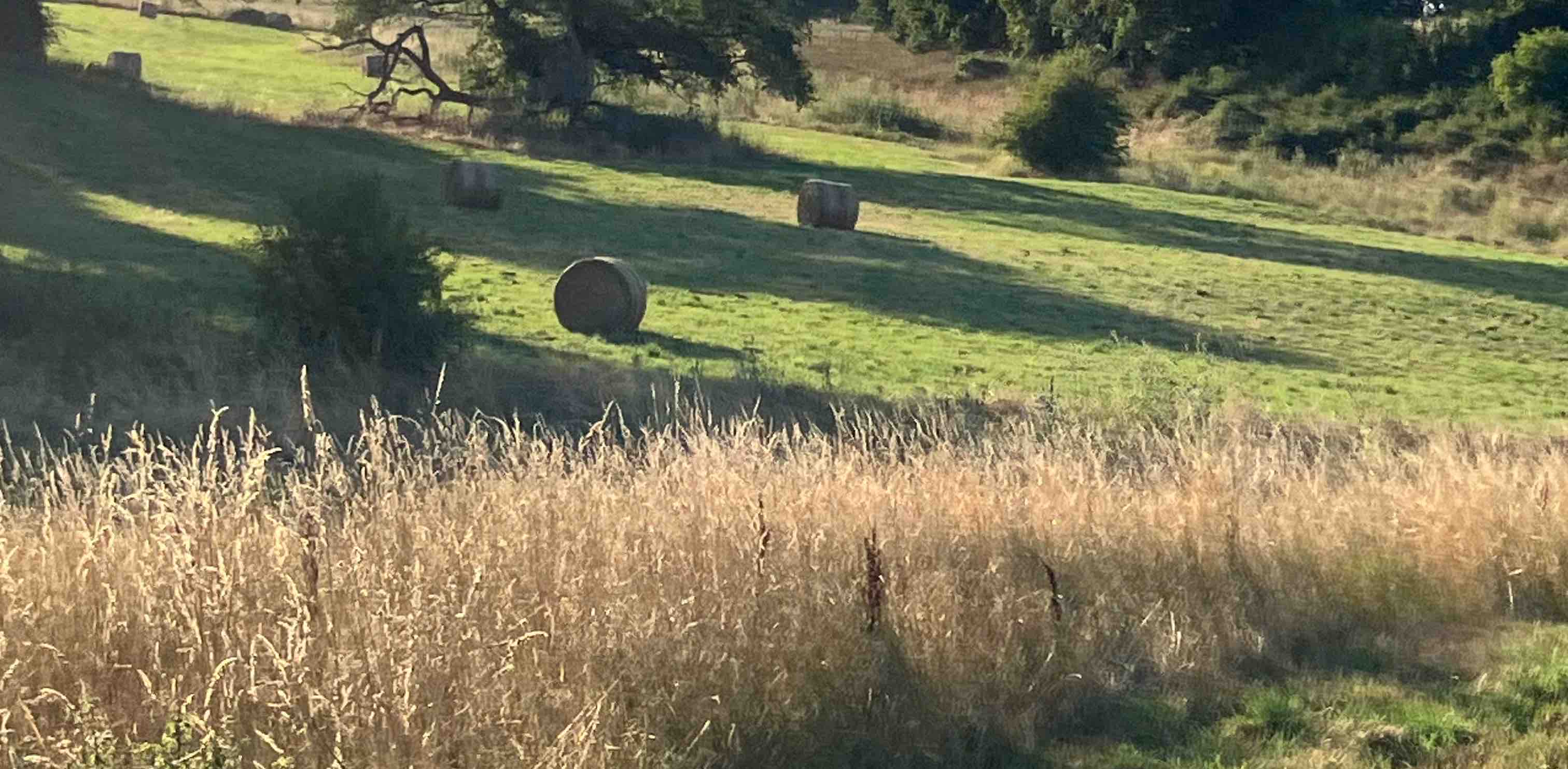 challenge background