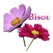🧜♂️26 AOÛT 🧚🏻♀️ 💐Joyeux Anniversaire 🌷 icon