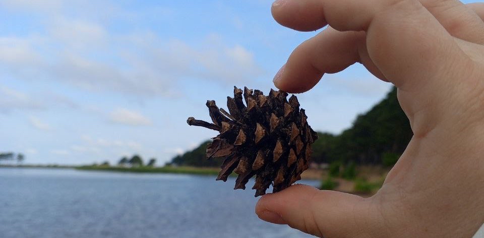 challenge background