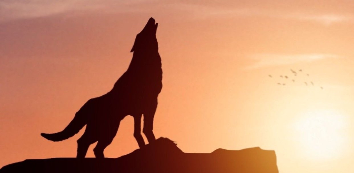 challenge background