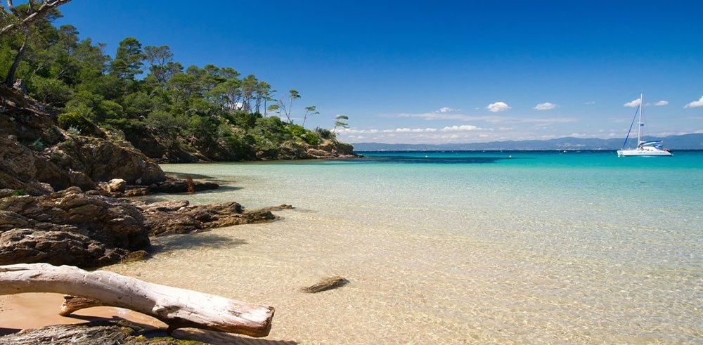 challenge background