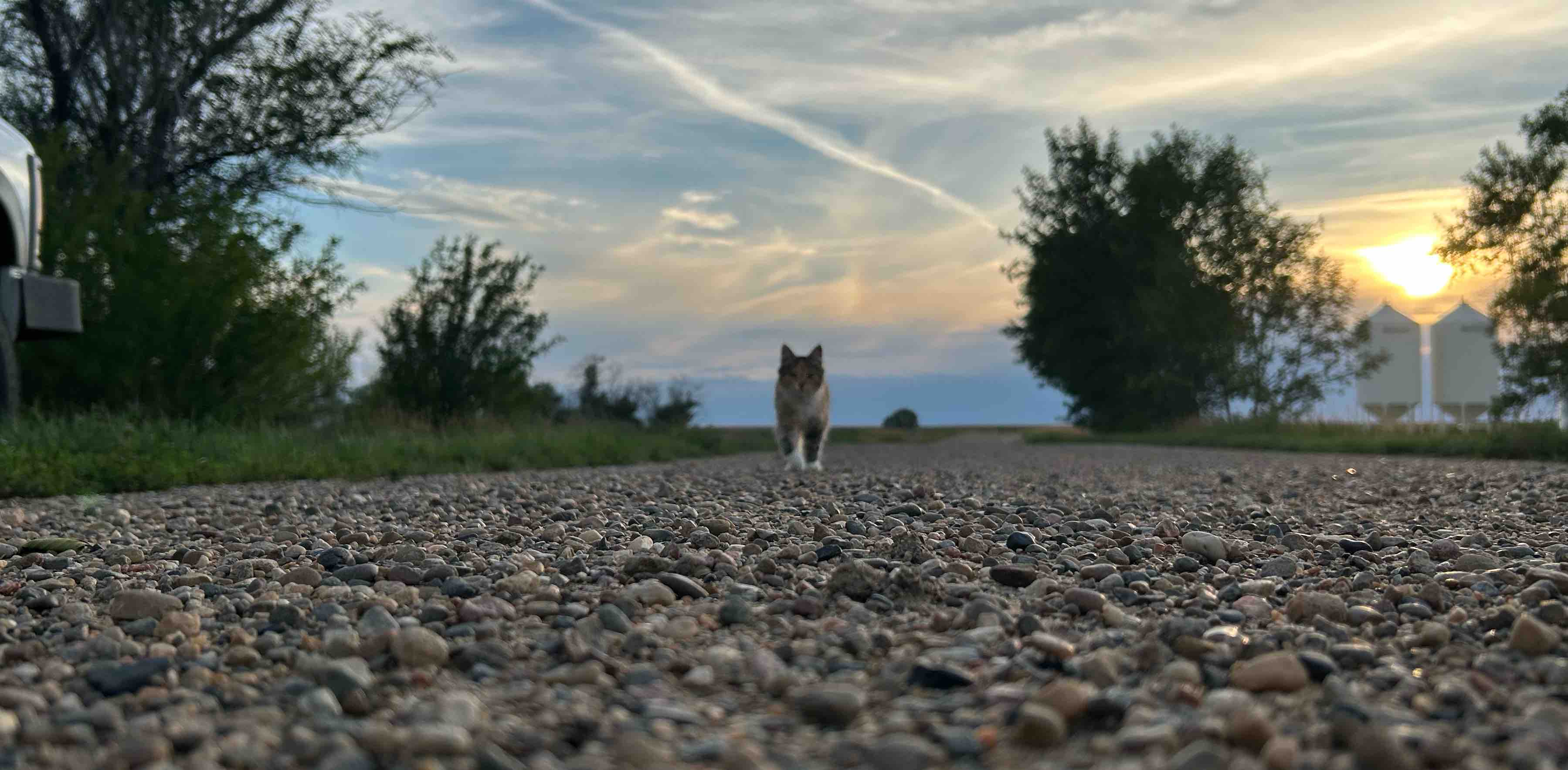 challenge background