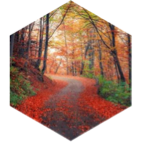 Fall 10km GPS Race icon