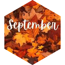 September 10 km Step Estimate Daily Points icon