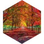 Fall 3km GPS Race icon