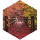 Fall 12km GPS Race icon