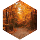 Fall 1 Mile GPS Race icon