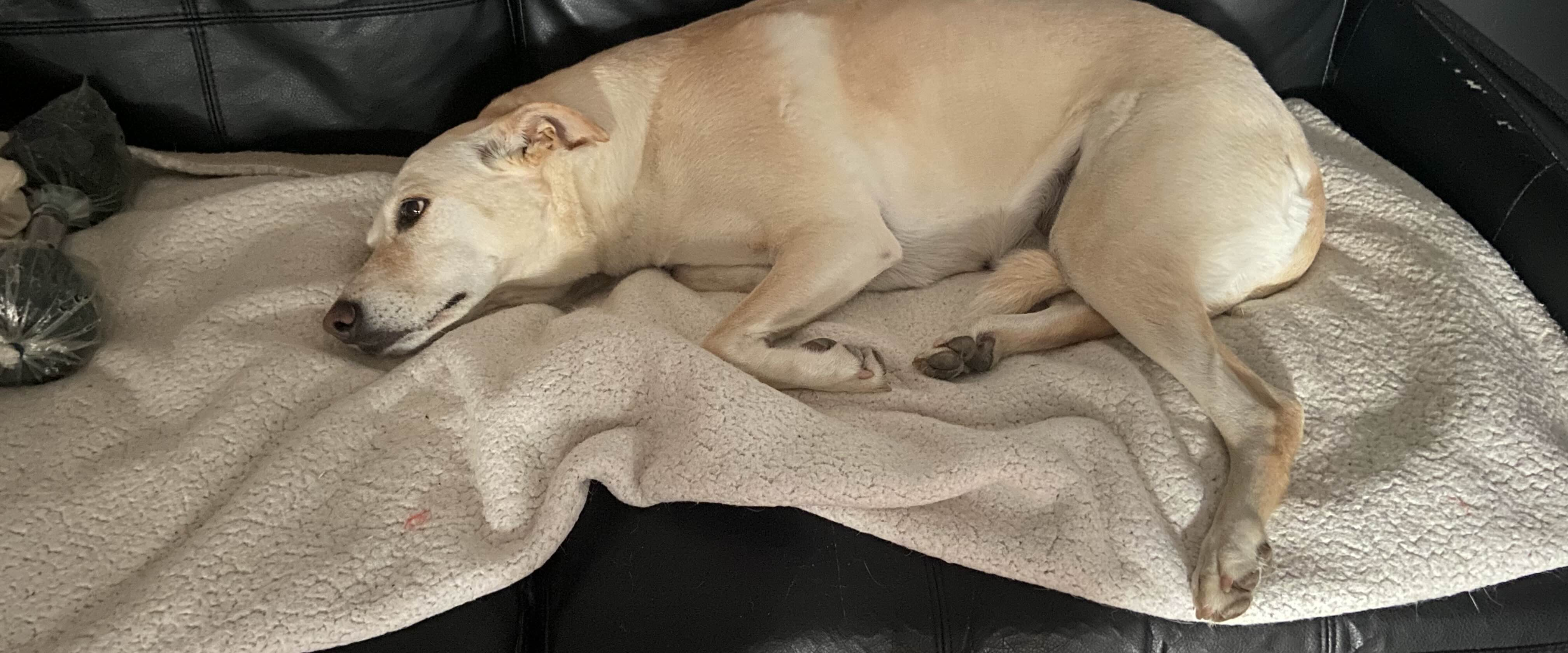 challenge background