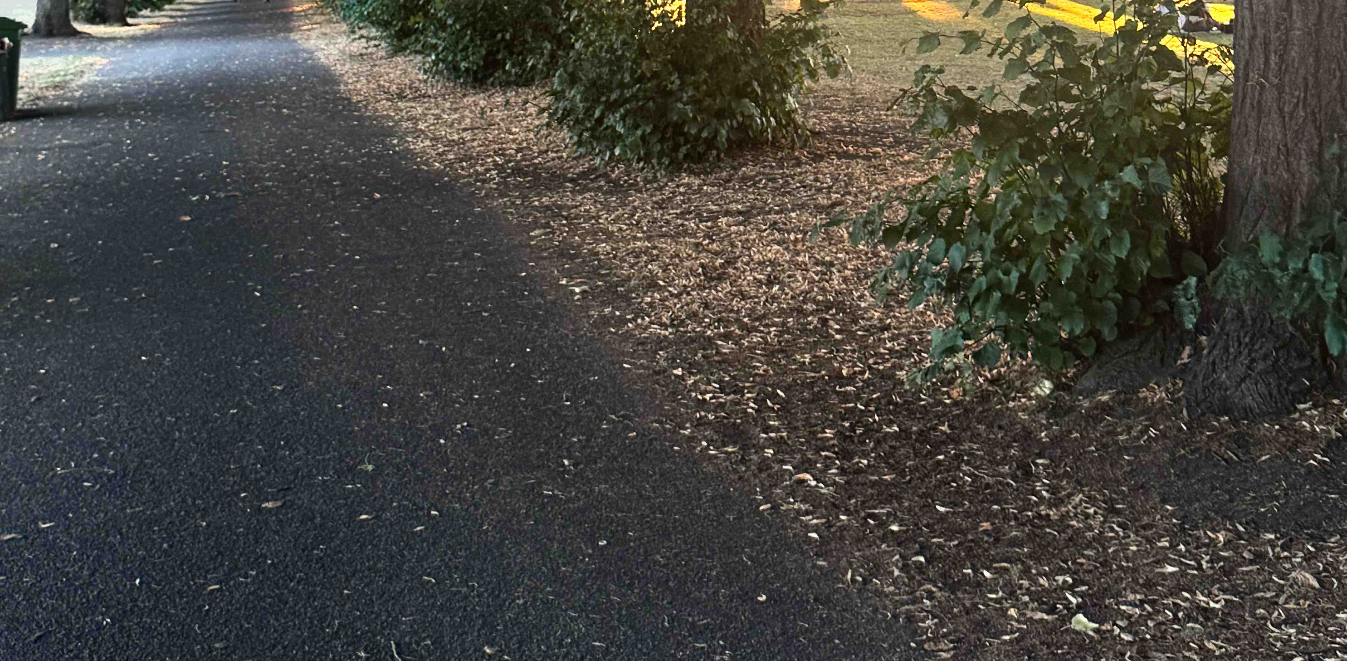 challenge background