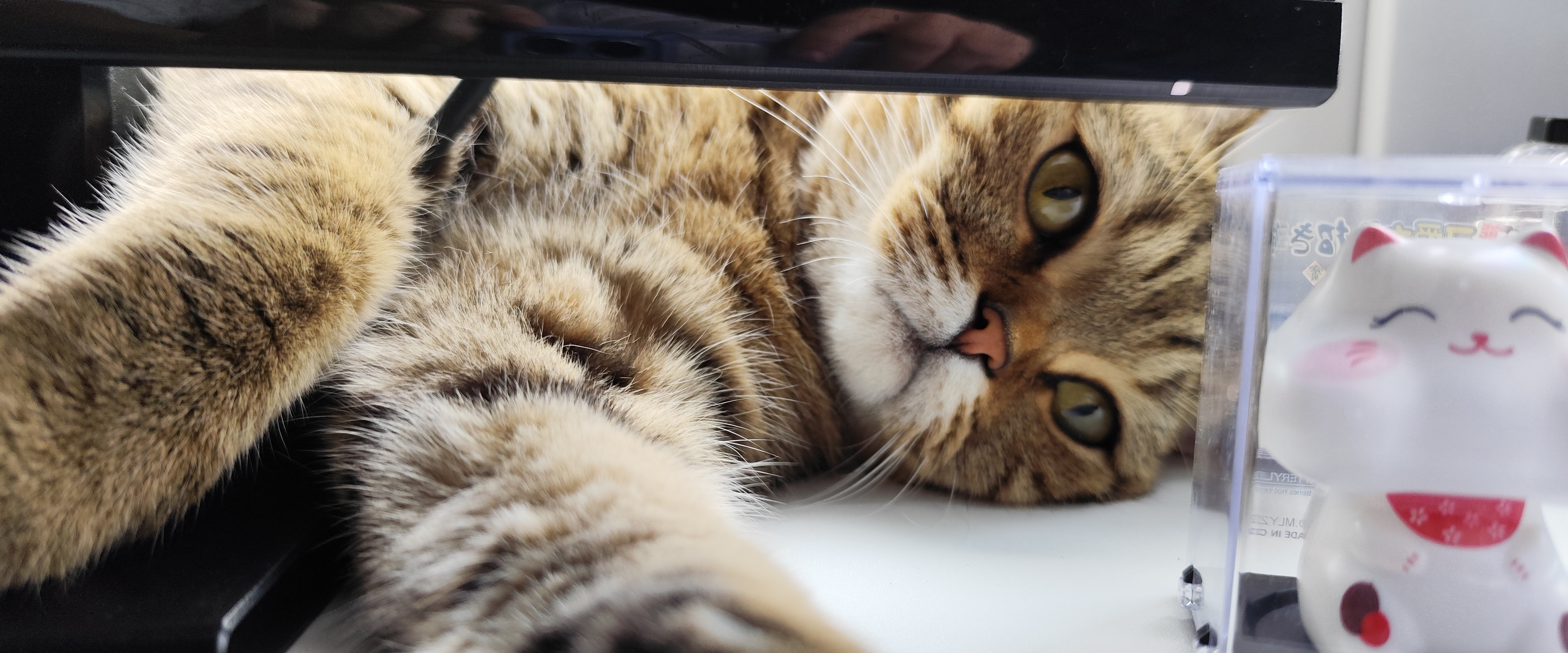 challenge background