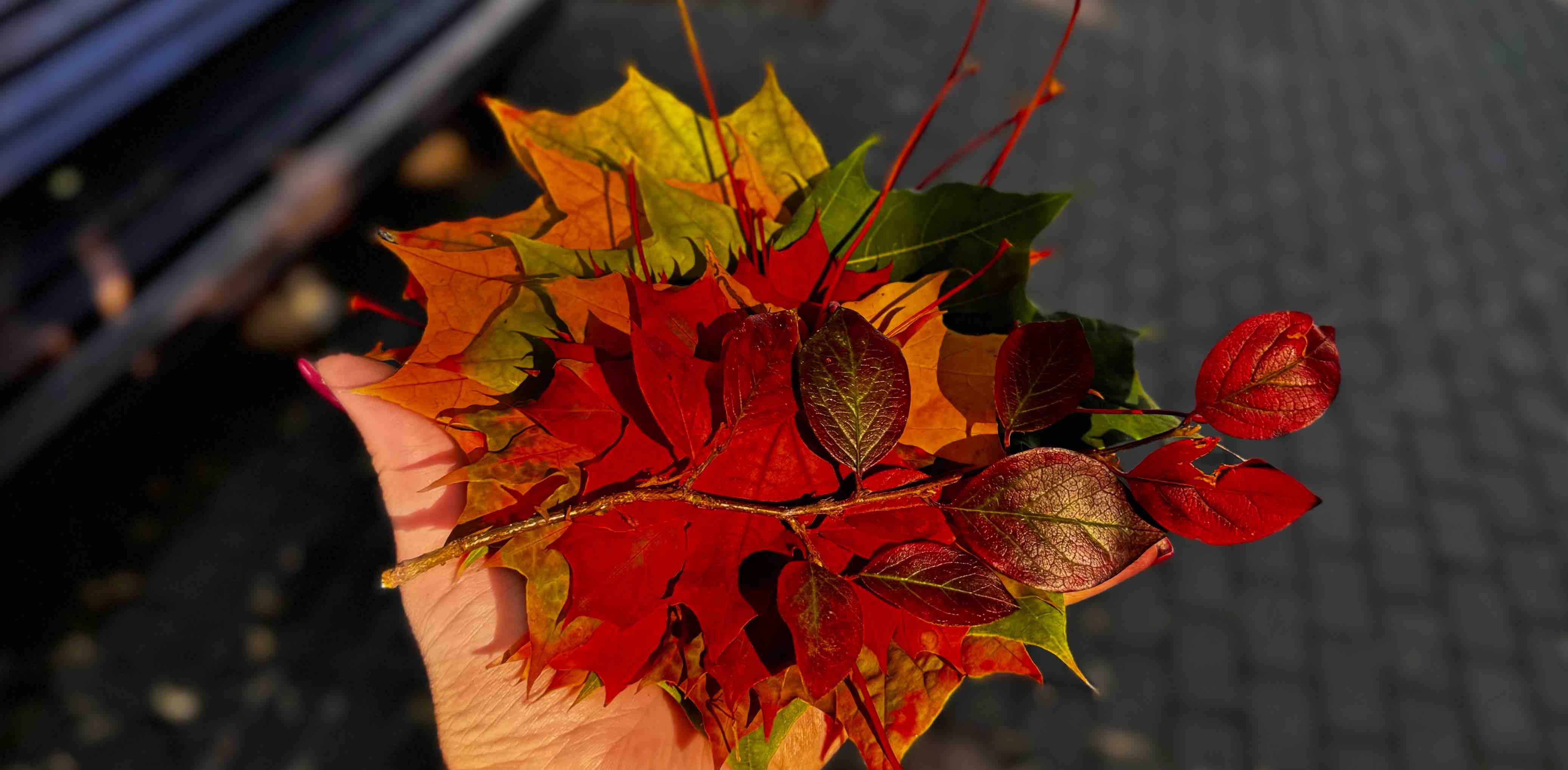 🍁Сентябрь🍁 1000000 шагов logo
