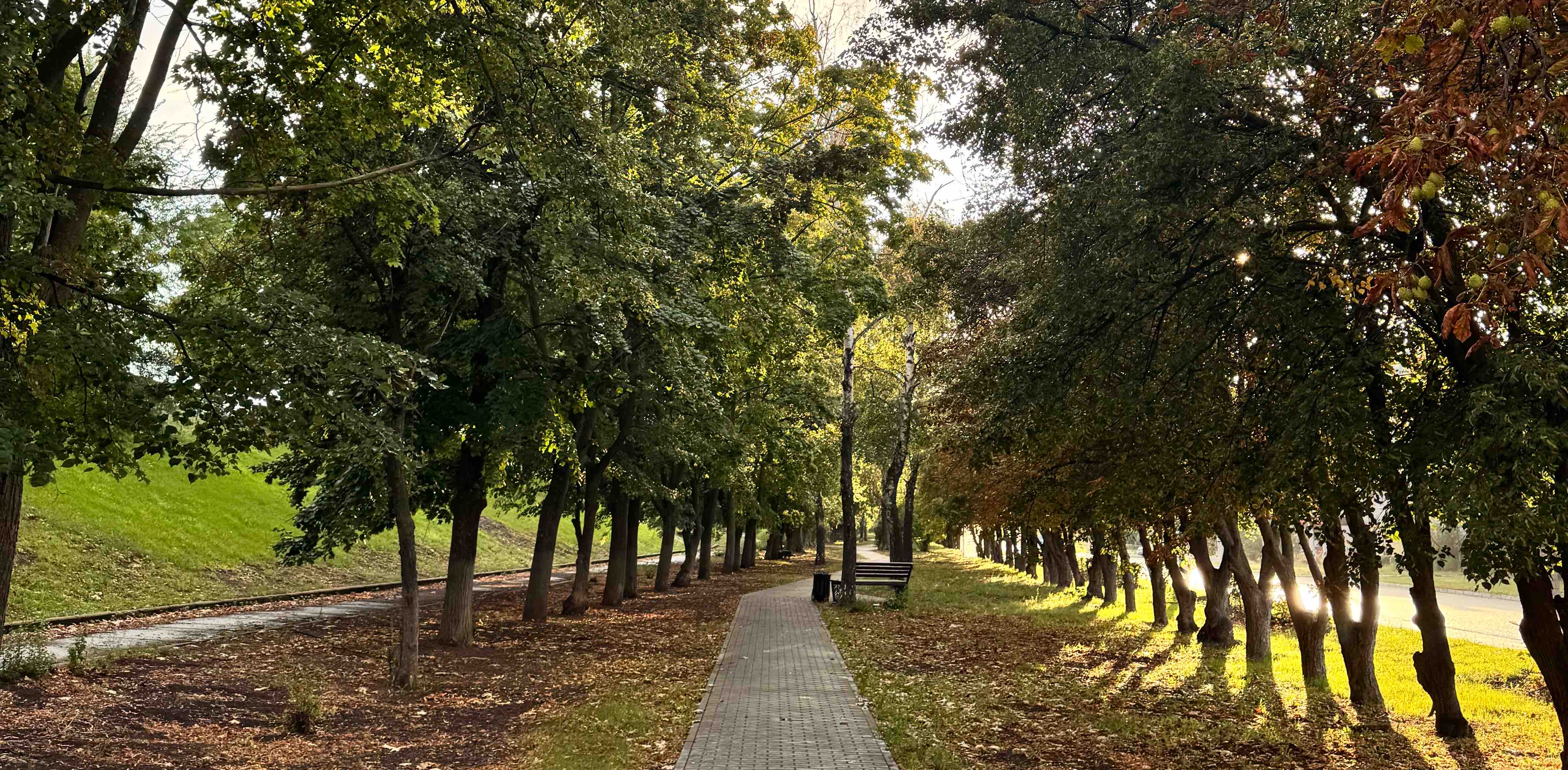 Осень🍂 Групповая цель по шагам👣 logo