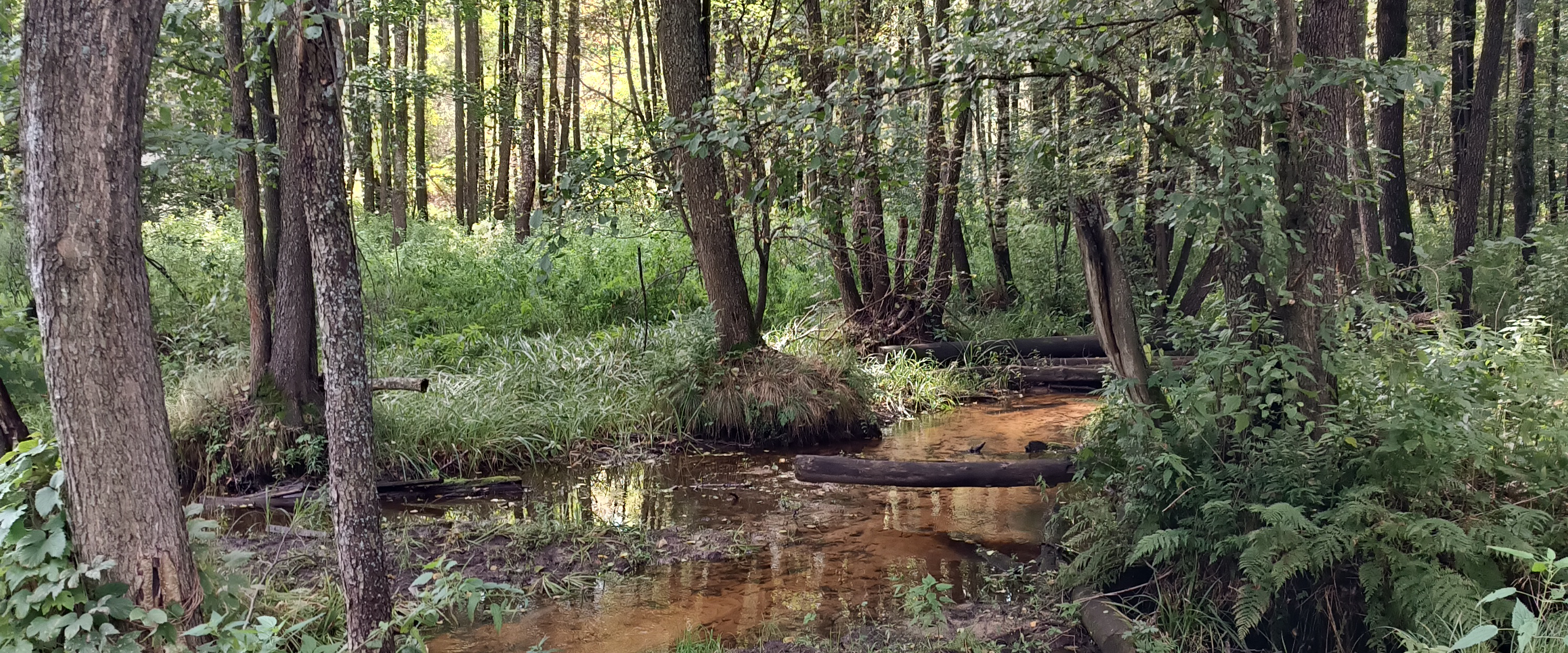 challenge background