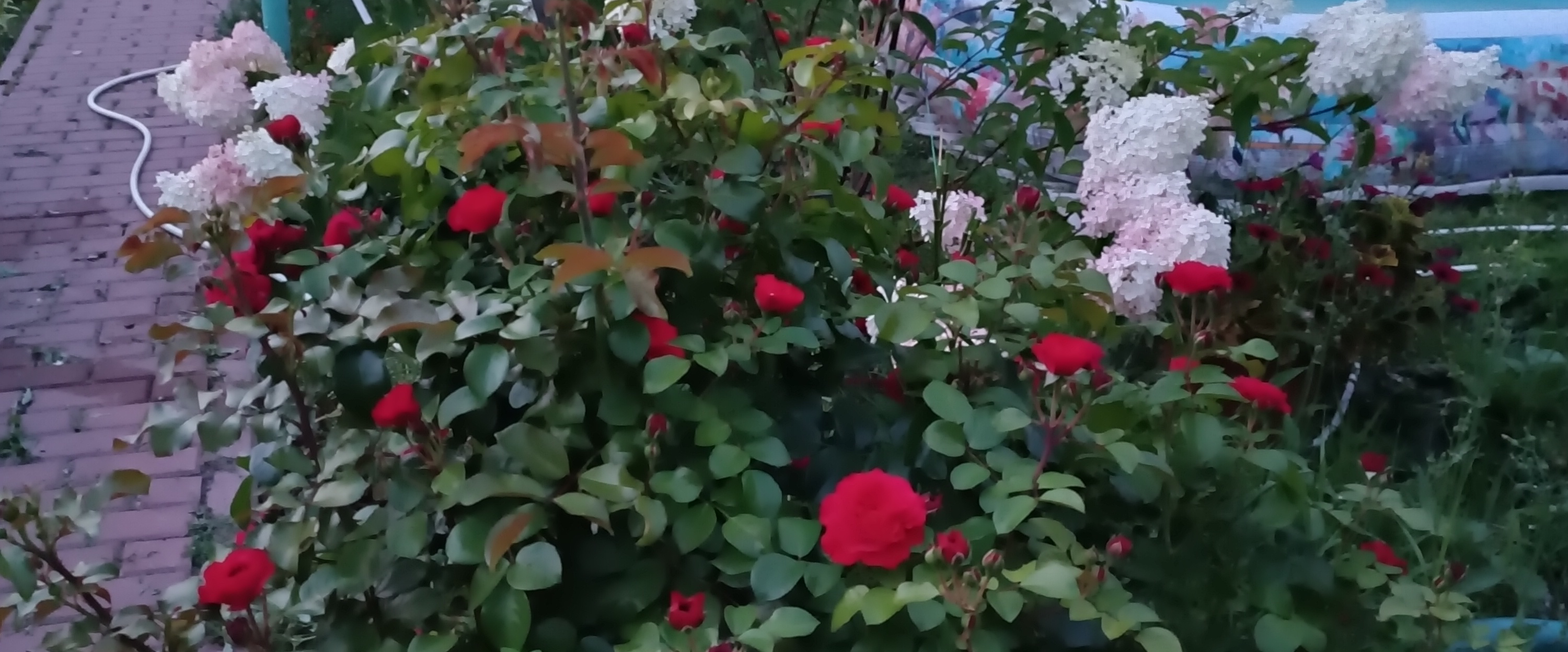 challenge background